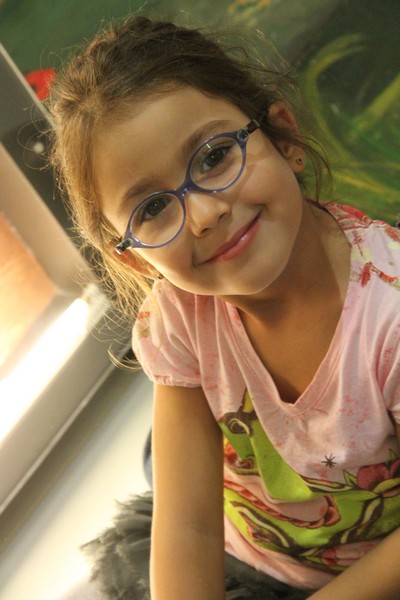 Bees Mystery at Beirut Souks